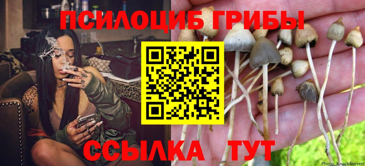 Псилоцибиновые грибы Cubensis  Вход с VPN  как найти наркотики  Каменск-Уральский  Псилоцибиновые грибы Cubensis 